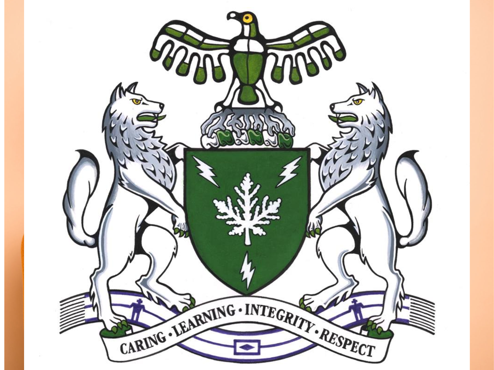white colored Algonquin College Logo with green color highlights - immigration admissions to Canada